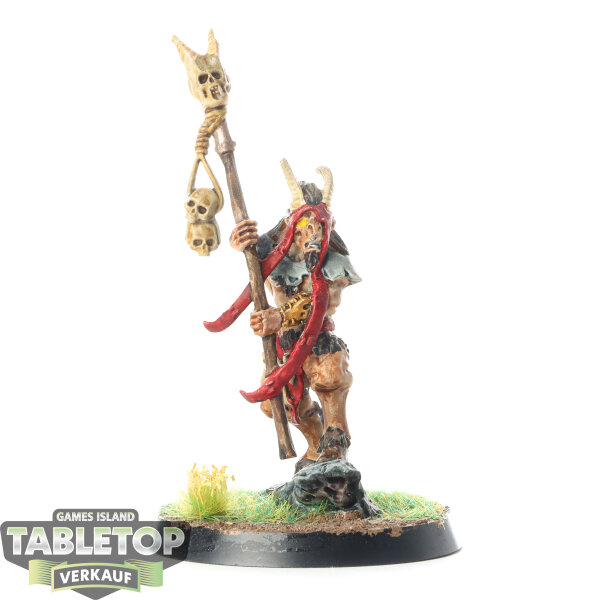 Beastmen Brayherds - Beastman Shaman - bemalt