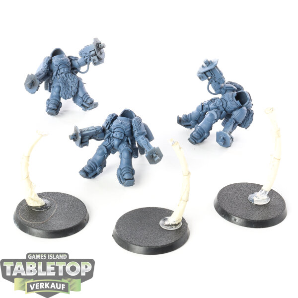 Space Wolves - 3x Inceptors - grundiert