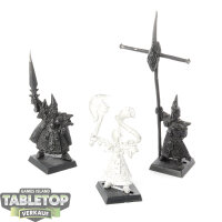 Dark Elves - 3x Command Group klassisch - teilweise bemalt