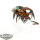 Necrons - Canoptek Spyder - bemalt