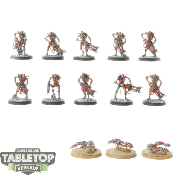 Necrons - 10 x Necron Warriors - bemalt