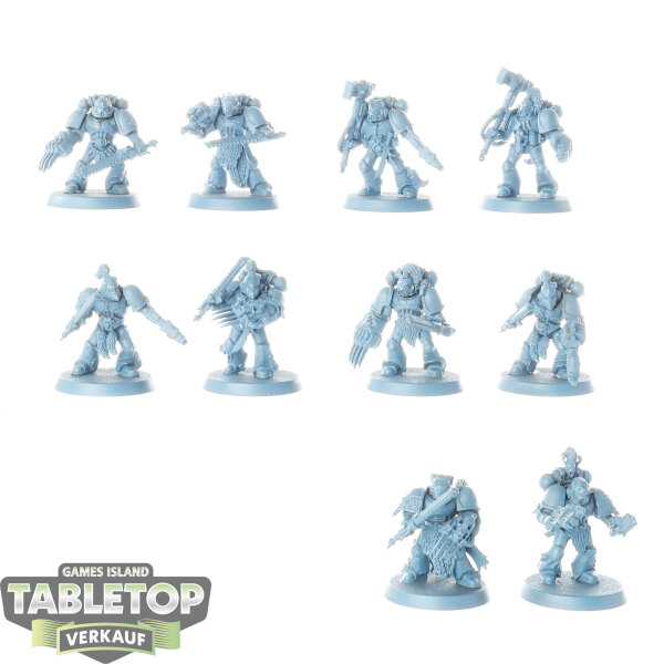 Space Wolves - 10 x Grey Hunters klassisch - grundiert