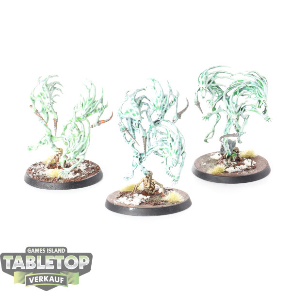 Nighthaunt - 3 Spirit Hosts - bemalt