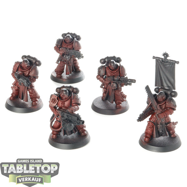 Space Marines - 5x Sternguard Veterans - teilweise bemalt