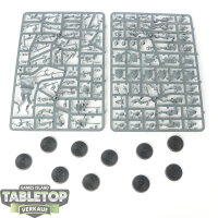 Cities of Sigmar - 10 x Freeguild Steelhelms - im Gussrahmen