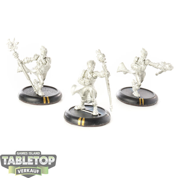 Cygnar - Stormsmith Stormcallers - unbemalt