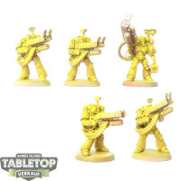 Imperial Fists - 5 x Desolation Squad - teilweise bemalt