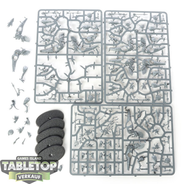 Seraphon - 5 Raptadon Chargers - teilweise gebaut