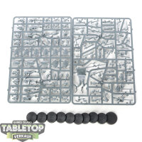 Cities of Sigmar - 10x Freeguild Steelhelms - im Gussrahmen