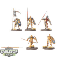 Stormcast Eternals - 5 Vindictors - bemalt
