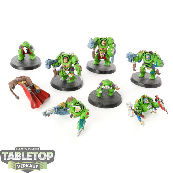 Space Wolves - 5 x Wolf Guard Terminators klassisch - bemalt