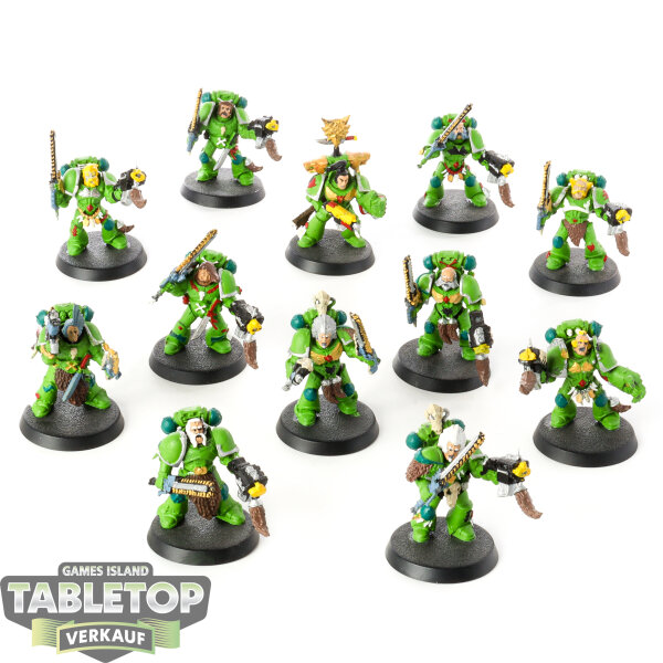 Space Wolves - 12 x Grey Hunters klassisch - bemalt