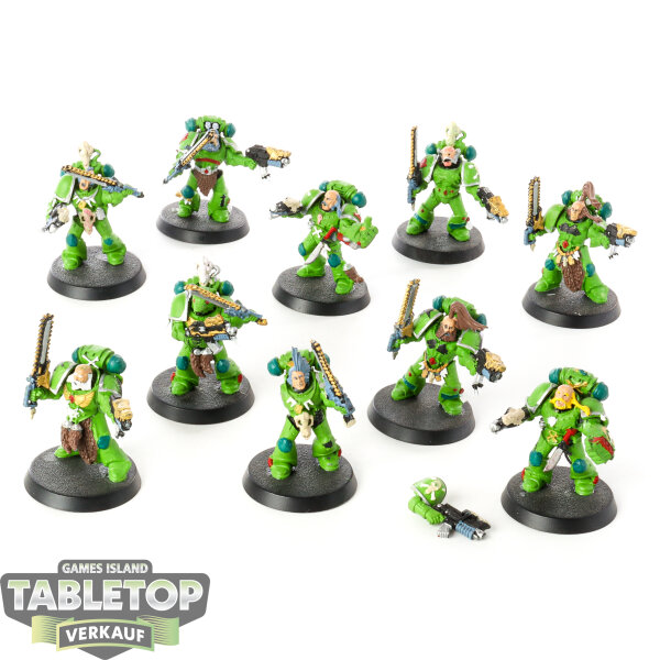 Space Wolves - 10 x Grey Hunters klassisch - bemalt