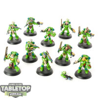 Space Wolves - 10 x Grey Hunters klassisch - bemalt