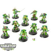 Space Wolves - 10 x Blood Claws klassisch - bemalt