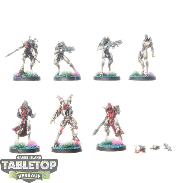 Infinity - 7 Shasvastii Action Pack - bemalt