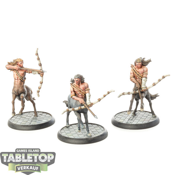 Knight Models - Harry Potter Miniature Adventure Game - Magorian & Centaurs - bemalt