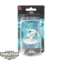 Miniaturen - D&D Nolzurs Marvelous Miniatures -...