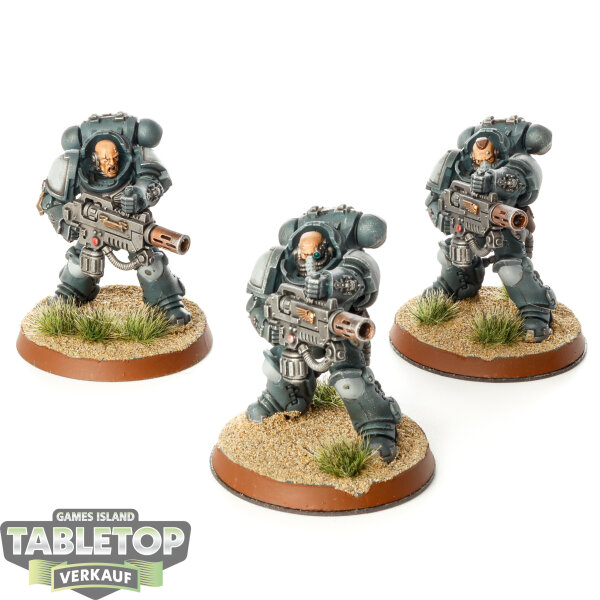 Space Marines - 3 Primaris Eradicators - bemalt