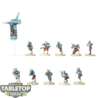 Tau Empire - 10 Pathfinder Team - bemalt