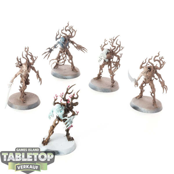 Sylvaneth - 5x Spite-Revenants - teilweise bemalt