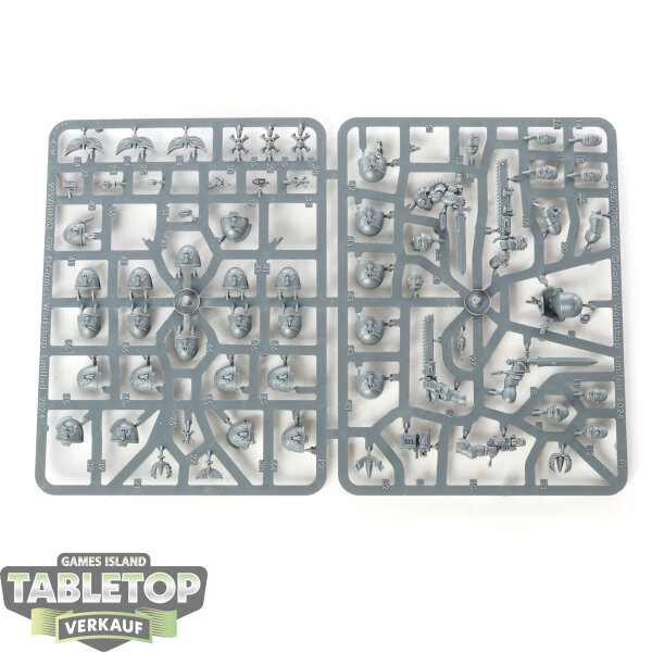 Blood Angels - Blood Angels Upgrades and Transfers - im Gussrahmen