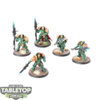 Adeptus Custodes - 5 x Custodian Guard - bemalt