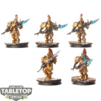 Adeptus Custodes - 5x Custodian Guard - bemalt