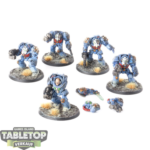 Ultramarines - 5 Terminator Squad classic - bemalt
