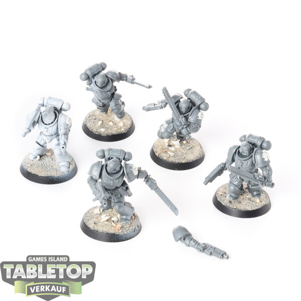 Space Marines - 5 Assault Intercessor Squad - teilweise bemalt