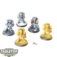 Space Wolves - 5 Grey Hunters classic - teilweise bemalt