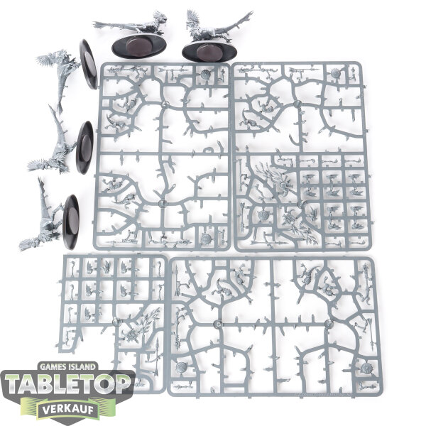 Seraphon - 5 Raptadon Chargers - teilweise gebaut