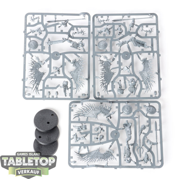 Stormcast Eternals - 3 Prosecutors - im Gussrahmen