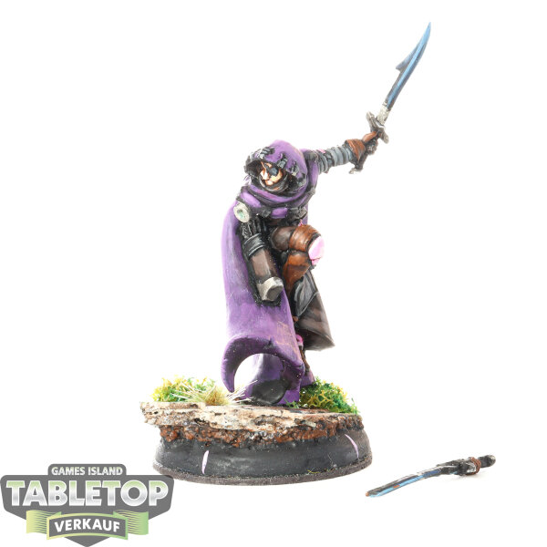Retribution of Scyrah - Mage Hunter Commander - bemalt