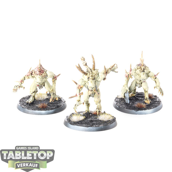 Flesh-eater Courts - 3 Crypt Haunter Courtier - bemalt