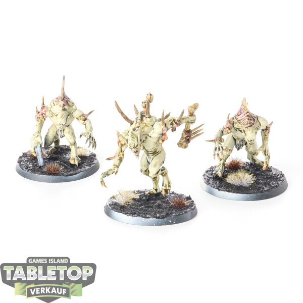 Flesh-eater Courts - 3 Crypt Haunter Courtier - bemalt