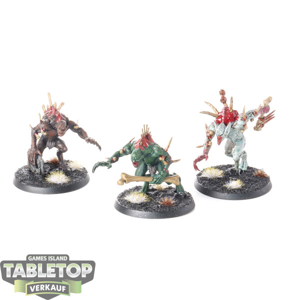 Flesh-eater Courts - 3 Crypt Haunter Courtier - bemalt