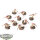 Tyraniden - 10x Hormagaunts - klassisch - bemalt