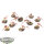 Tyraniden - 10x Hormagaunts - klassisch - bemalt