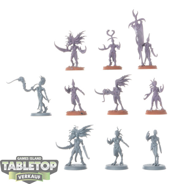 Hedonites of Slaanesh - 10 Daemonettes of Slaanesh - teilweise bemalt