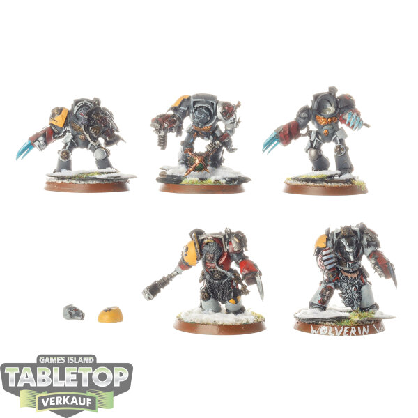 Space Wolves - 5x Terminator Assault Squad - bemalt