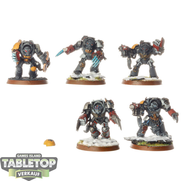 Space Wolves - 5x Terminator Squad klassisch - bemalt