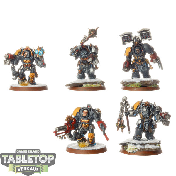 Space Wolves - 5x Terminator Squad klassisch - bemalt