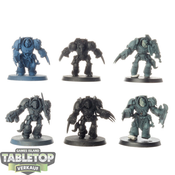 Space Wolves - 5x Terminator Assault Squad - bemalt