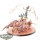 Hedonites of Slaanesh - Tormentbringer / Bladebringer - bemalt