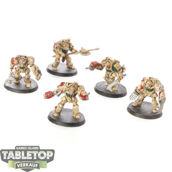 Dark Angels - 5x Deathwing Terminator Squad  - bemalt