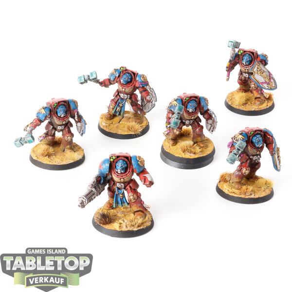 Dark Angels - 6 x Terminator Squad klassisch - bemalt