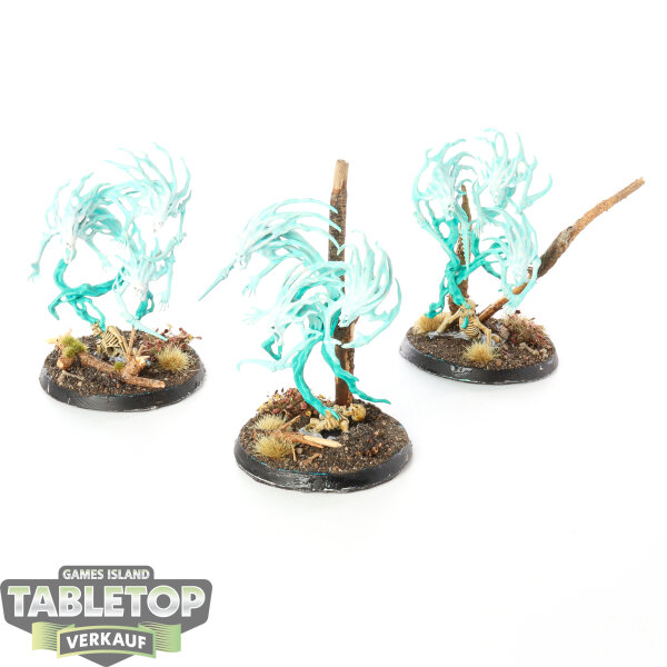Nighthaunt - 3 Spirit Hosts - bemalt