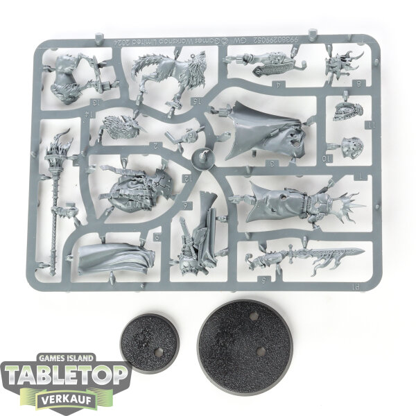 Stormcast Eternals - Lord-Veritant mit 1 Gryph-crow - im Gussrahmen