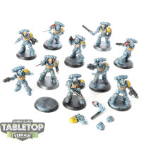 Space Wolves - 10x Intercessors - teilweise bemalt